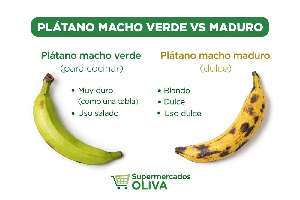 Platano macho diferencia