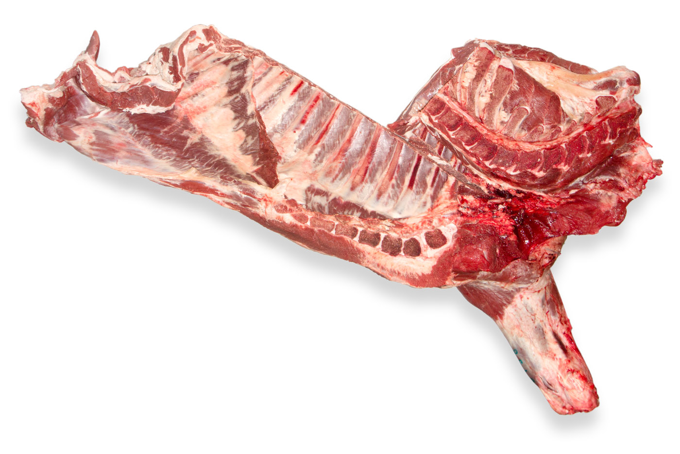 2014 delantero ternera c falda