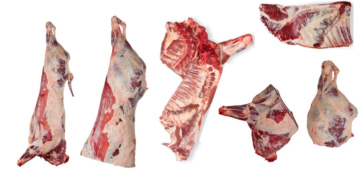 Cortes distribuidores de carne
