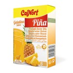 GELATINA_PINA_CALNORT