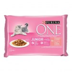 One-Purina-salmon-zanahoria